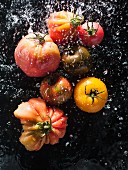 Tomatoes being sprayed with water