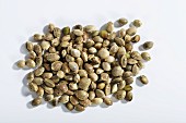 Hemp seeds (Cannabis sativum) against a white background