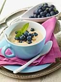 Cappuccino dessert with blueberries