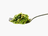 Angelica pesto on a fork against a white background