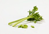 Celery, whole and sliced