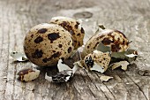 A whole quail's egg with broken eggshells