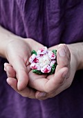 Liebevolle Geste mit in Händen gehaltener Häkelblüte