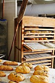 Assorted loaves in a bakery