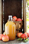 Stillleben mit Flasche Cidre & frischen Äpfeln