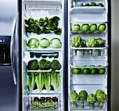 Green vegetables in refrigerator
