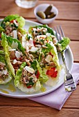 Lettuce with tuna, peppers and parmesan