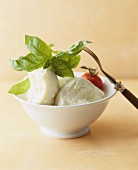 Mozarella with tomato and basil in a bowl