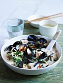 Mussel soup with mushrooms, pak choi, chilli and coriander