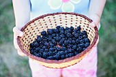 A girl holding a basket of blackberries