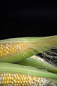 A corn cob (detail)