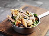 Spring chicken with onions in a saucepan