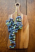 Wild grapes on wooden cutting board