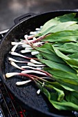 Ramps Cooking in Pan on Grill