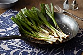 Caramelised spring onions in a frying pan
