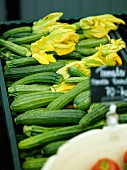 Fresh courgettes, some with flowers, in a crate on a market stall