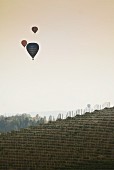 Heissluftballons über herbstlichen Weinberg