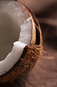 Detail einer geöffneten Kokosnuss