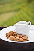 Assorted nuts and a jug of milk on a wooden table