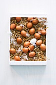 Fresh hens eggs in a wooden box filled with straw