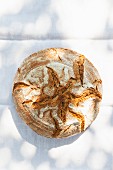 A rustic loaf of country bread on a sunny table