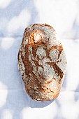 Rustikales Brot auf sonnigem Tisch