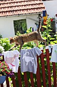 Cat walking across T-shirts with hand-sewn animal motifs on garden fence