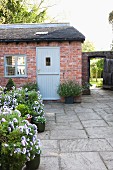 Flowering, potted plants on grey stone flags in front of brick cottage