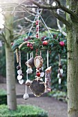 Decorative, wreath-shaped feeder for native birds hanging from branch