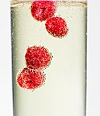 Raspberries in champagne (close-up)