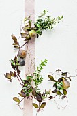 Autumn arrangement with figs & leaves