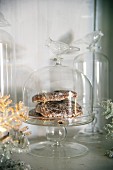 Gingerbread on glass cake stand with cover