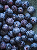 Frisch gewaschene Heidelbeeren (Close Up)