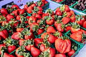 Fresh strawberries in green plastic punnets