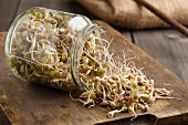 Bean sprouts falling out of a sprouting jar