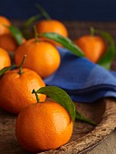 Clementine Segments with Whole Clementines