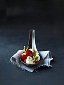 Tomatoes with mozzarella on a tasting spoon