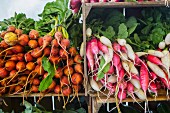 Fresh radishes on a market stall