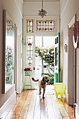Dog in hallway with open Art-Nouveau stained-glass front door and view of rose bush in courtyard