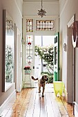 Hund in Hausflur, im Hintergrund offene Jugendstil Haustür mit Bleiverglasung und Blick auf Rosenbusch in Hinterhof