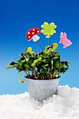 Lucky clover in a flower pot decorated with lucky symbols