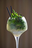 Mojito with fresh mint