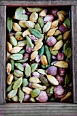 Various types of cardamom pods in a wooden box