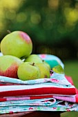 Fresh apples on stack of cloths in garden