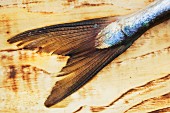 A fish tail on a wooden surface