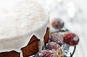 Sponge cake with icing sugar and sugared grapes