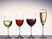 Vier verschiedene Weine in Gläsern vor weißem Hintergrund