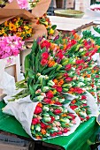 Tulpensträusse auf Marktstand (Niederlande)