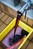 Rotwein wird von Tank zur Reifung in Holzfass umgefüllt, unteres Aaretal