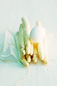A hard-boiled egg on a bunch of white asparagus tied with twine